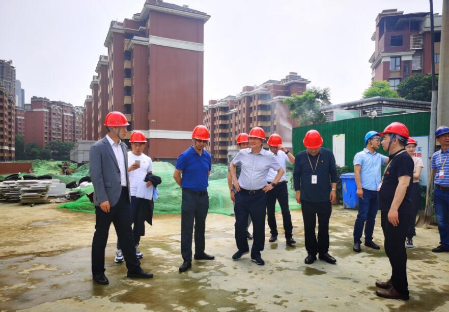 6008集团官方网站集团谋划提升年专责事情组 开展系列项目督导